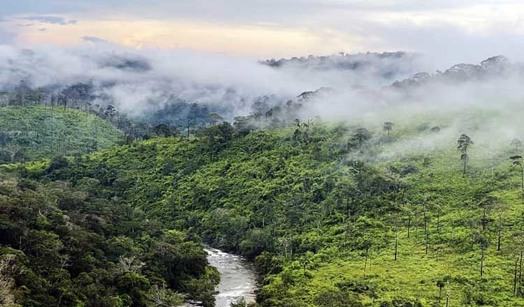Kambodscha: Tiefsttemperaturen von 17°C erwartet